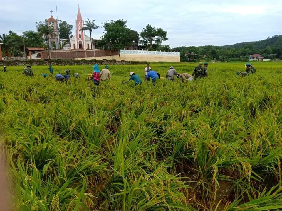 Tại huyện Hương Sơn có hơn 900ha lúa bị đổ, ngập do mưa lớn trong nhiều ngày qua. Trước tình hình này đơn vị huyện đoàn kêu gọi hàng chục bạn thanh niên tình nguyện tham gia hỗ trợ...