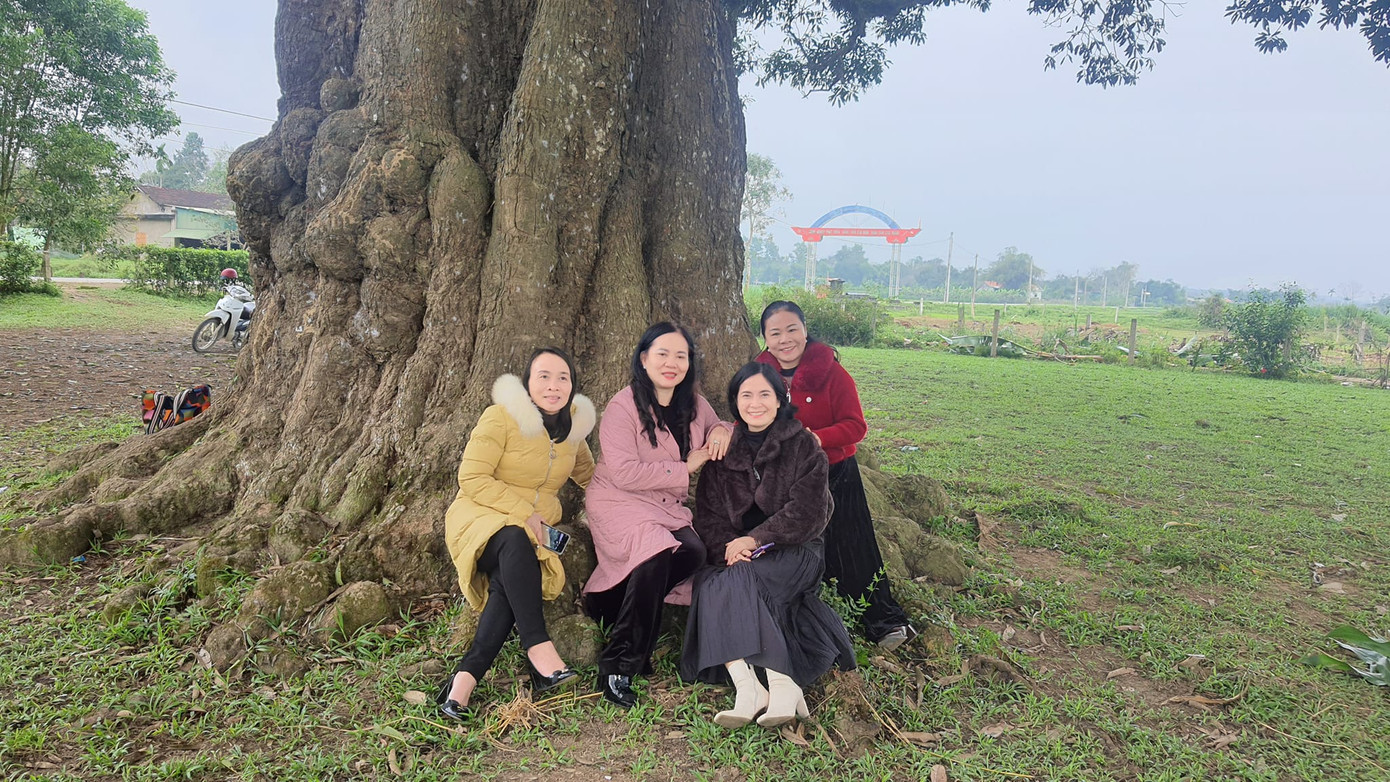 Gốc Trôi cổ thụ vỏ thân cây sần sùi, nổi u cục. Ảnh: Quốc Thanh.