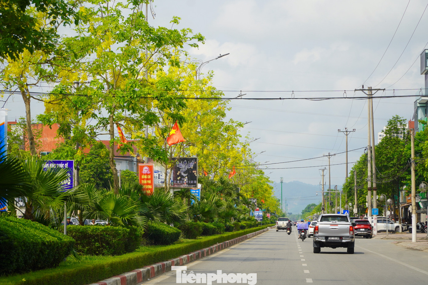 Đặc biệt, dọc đường Hàm Nghi, thành phố Hà Tĩnh nơi trồng hàng trăm gốc muồng hoàng yến đang được nhuộm sắc vàng, khung cảnh trở nên nổi bật.