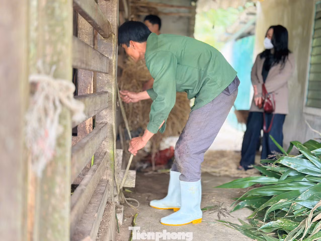 Với những người có kinh nghiệm, thời gian để cắt một cặp nhung cho một con hươu chừng 15 phút. Hươu sau khi cắt xong nhung, họ dùng rơm khô làm dây và lá chuối để cột cầm máu. Nghề đòi hỏi kỹ thuật cao, sức khoẻ tốt. Đặc biệt phải nhanh nhẹn ứng xử trong mọi tình huống, tránh trường hợp cắt hỏng nhung, làm gãy chân hươu của gia chủ. Với những người có kinh nghiệm, thời gian để cắt một cặp nhung cho một con hươu chừng 15 phút. Hươu sau khi cắt xong nhung, họ dùng rơm khô làm dây và lá chuối để cột cầm máu. Nghề đòi hỏi kỹ thuật cao, sức khoẻ tốt. Đặc biệt phải nhanh nhẹn ứng xử trong mọi tình huống, tránh trường hợp cắt hỏng nhung, làm gãy chân hươu của gia chủ.