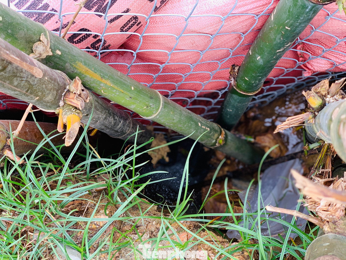 Việc khắc phục tình trạng xuống cấp tại hồ, đập chỉ là biện pháp tạm thời. Trong ảnh hồ Chà Chạm (huyện Hương Khê) xuất hiện vết nứt dài 20m và nhiều hồ đập được khắc phục sự cố sạt lở bằng cách đóng cọc tre...