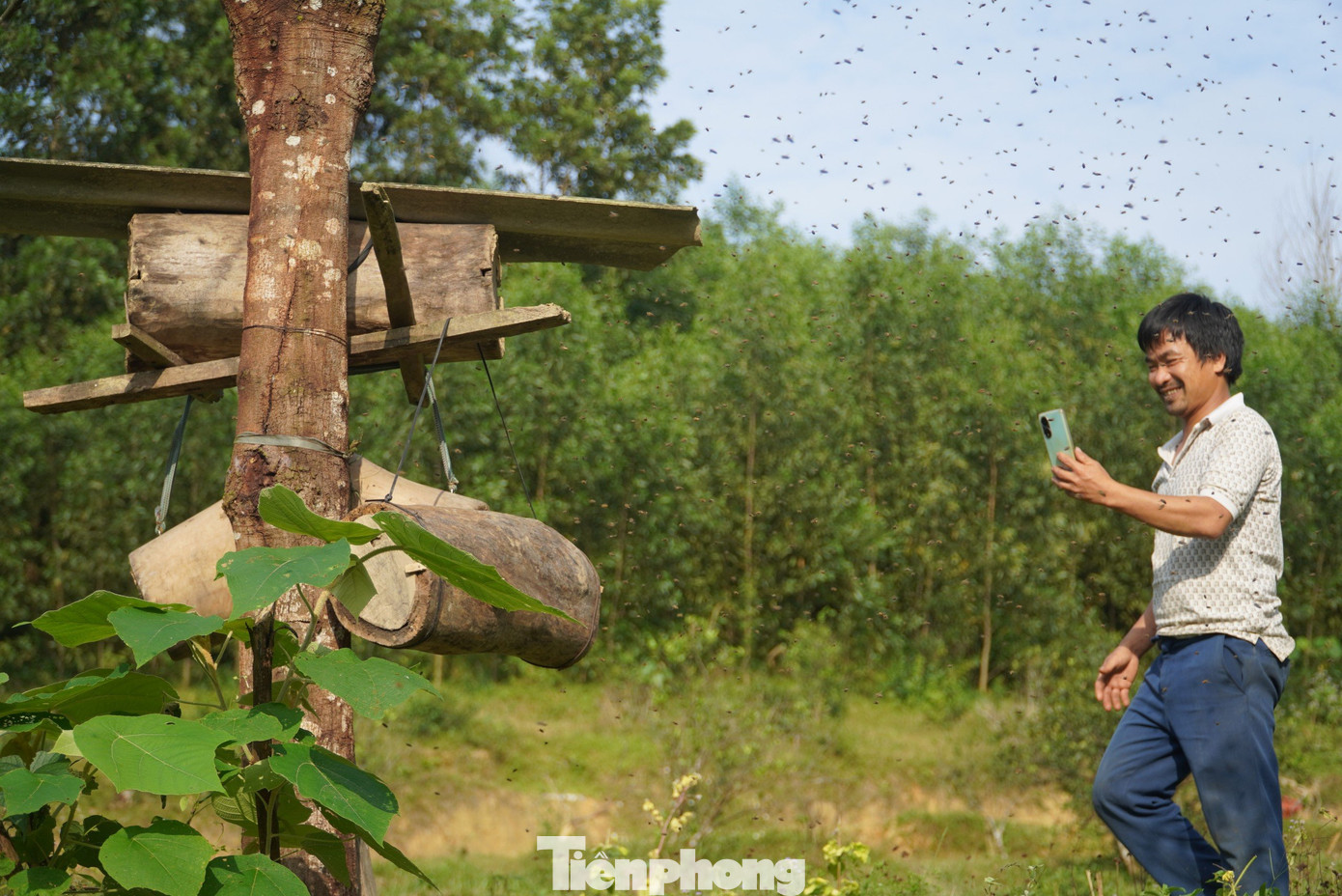 Háo hức, chàng thợ săn cầm điện thoại quay lại khoảnh khắc độc đáo này. Chờ chừng vài phút, khi đàn ong vào hết trong tổ, anh dùng đồ nghề tự chế để bắt ong sứ. Háo hức, chàng thợ săn cầm điện thoại quay lại khoảnh khắc độc đáo này. Chờ chừng vài phút, khi đàn ong vào hết trong tổ, anh dùng đồ nghề tự chế để bắt ong sứ.