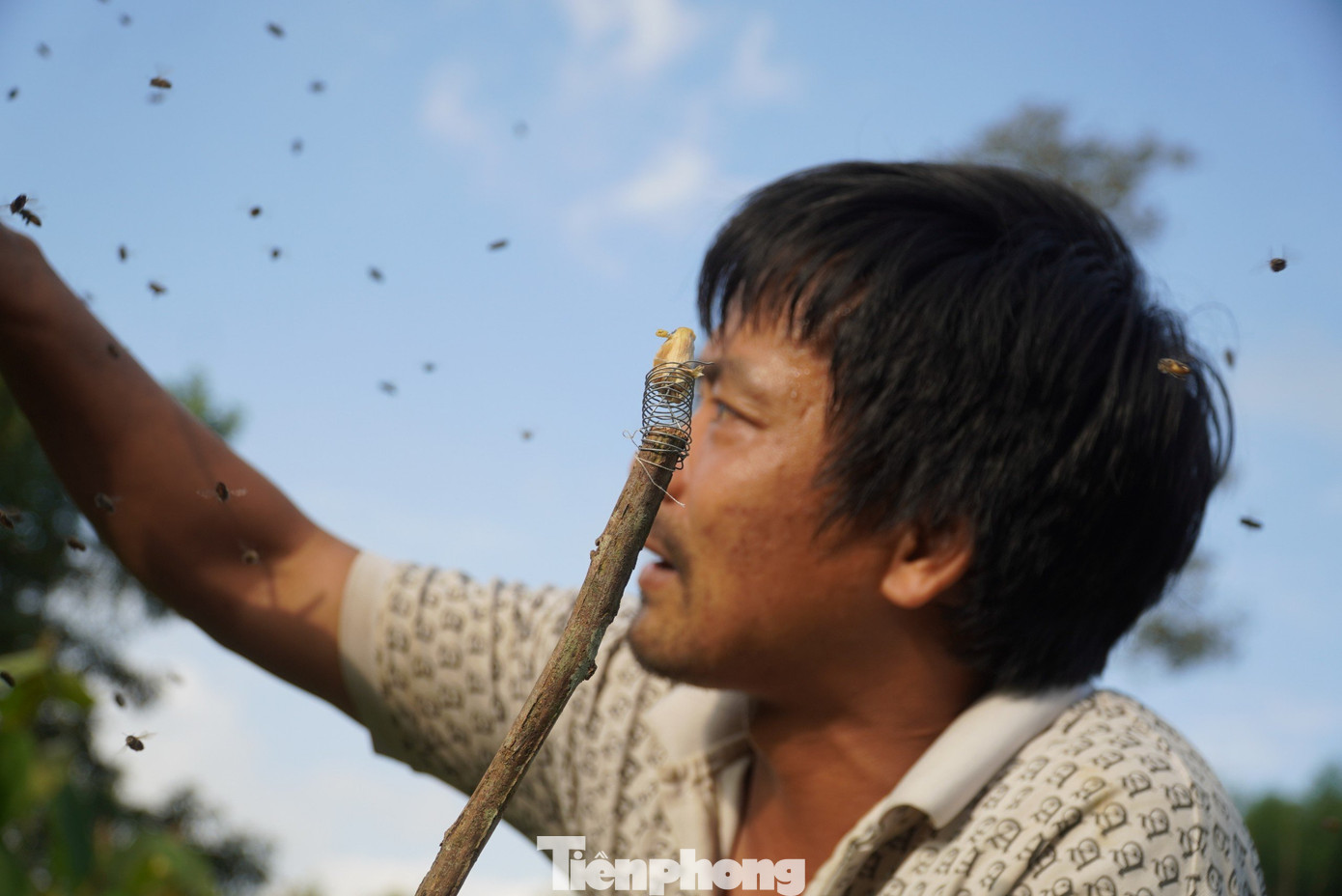 Dụng cụ bắt ong sứ vào tổ được anh Thao chuẩn bị từ trước. Dụng cụ bắt ong sứ vào tổ được anh Thao chuẩn bị từ trước.