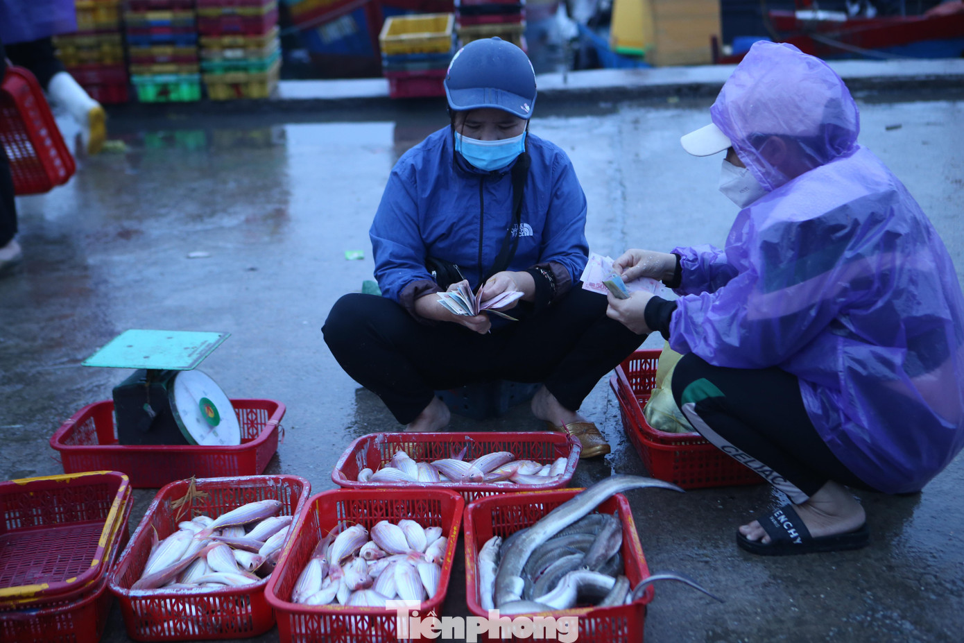 Phiên chợ cá tại cảng chỉ hoạt động từ 4-6h sáng hàng ngày.