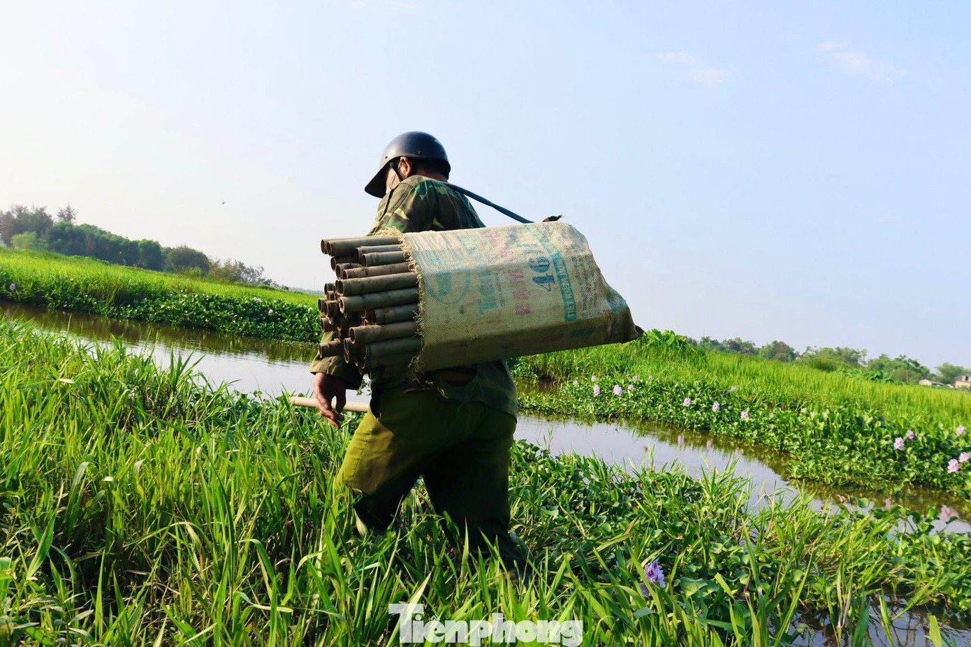 “Kỹ thuật thả trúm cũng rất đơn giản, chỉ cần chọn được những nơi nước lấp xấp để đặt ống trúm xuống nước. Cách đặt ống trúm là một đầu xuống nước để lươn chui vào còn đầu kia hướng lên trên để lươn có thể thở. Dọc cánh đồng cứ khoảng 3 đến 4m sẽ đặt 1 ống trúm", anh Nguyễn Việt Anh (trú thôn Vĩnh Yên, xã Thạch Văn, huyện Thạch Hà) chia sẻ. “Kỹ thuật thả trúm cũng rất đơn giản, chỉ cần chọn được những nơi nước lấp xấp để đặt ống trúm xuống nước. Cách đặt ống trúm là một đầu xuống nước để lươn chui vào còn đầu kia hướng lên trên để lươn có thể thở. Dọc cánh đồng cứ khoảng 3 đến 4m sẽ đặt 1 ống trúm", anh Nguyễn Việt Anh (trú thôn Vĩnh Yên, xã Thạch Văn, huyện Thạch Hà) chia sẻ.