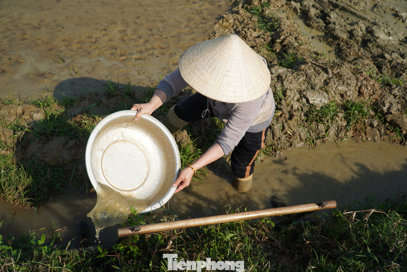 Nhiều người lựa chọn ngày mùng 5 Tết ra đồng để “lấy may” đầu năm mới.