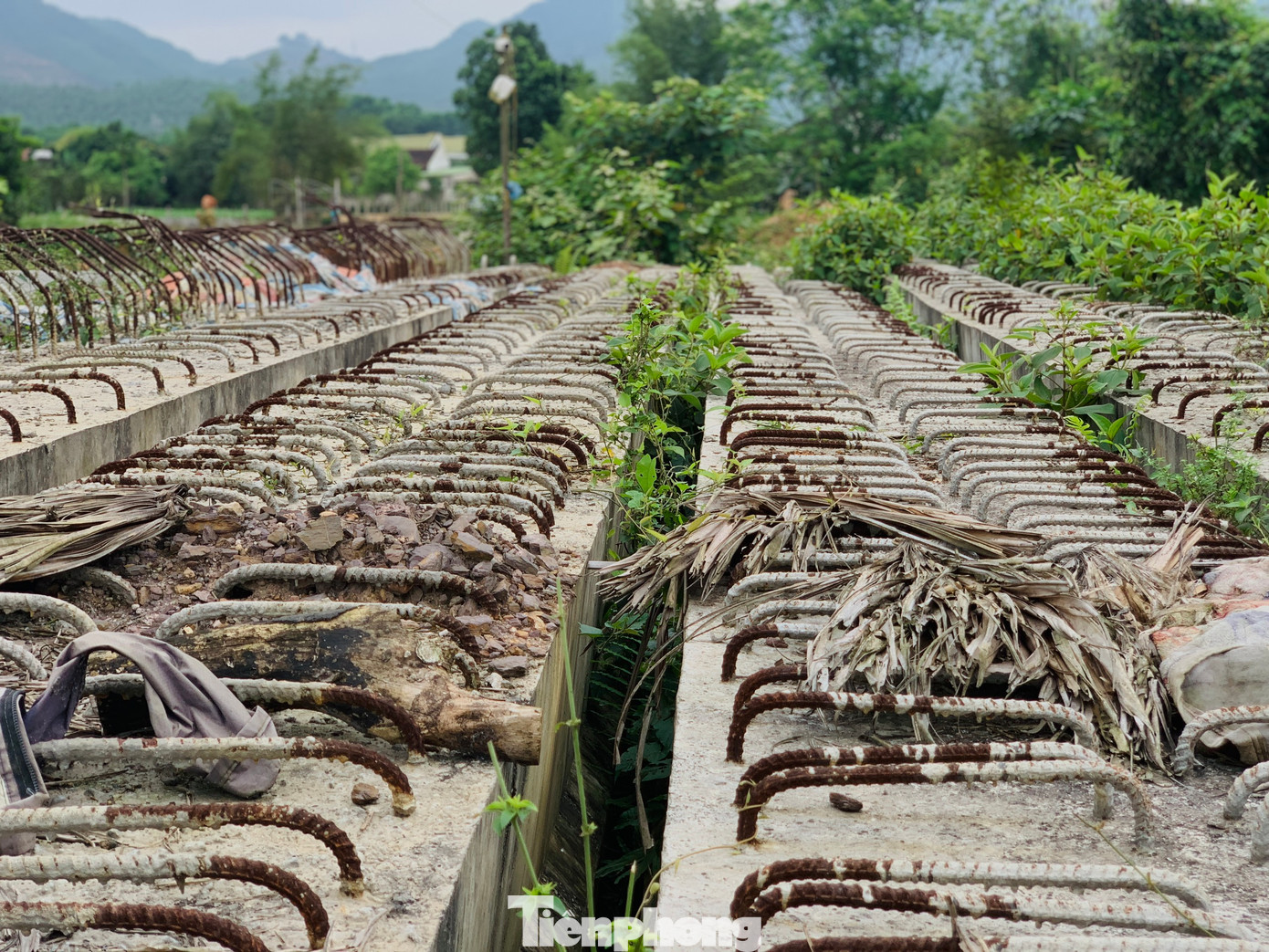 Nhiều vật liệu xây dựng chất đống, phơi nắng phơi sương, cỏ dại mọc um tùm…