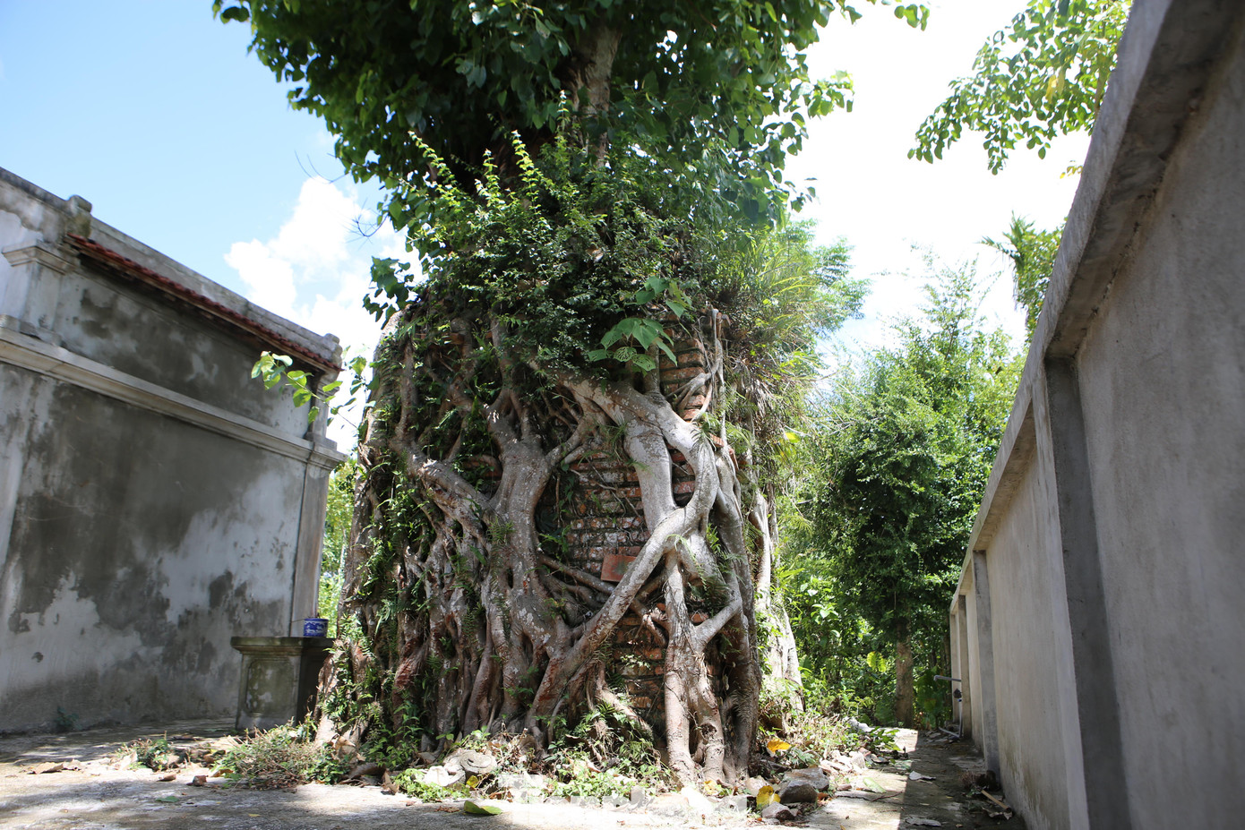 Tương truyền, sau khi đi sứ phương Bắc về, Hoàng Giáp Đinh Nho Hoàn lâm bệnh rồi mất. Vì quá thương xót, bà Phan Thị Viên cũng đã tuẫn tiết theo chồng. Nhà vua cấp ruộng thờ, ban tặng cho bà Phan Thị Viên là “Á Thần Nhân”, đồng thời cho lập bàn thờ, ban cho bản vàng khắc “Tiết phụ” để khen ngợi. Người dân địa phương sau đó dựng am để thờ bà.