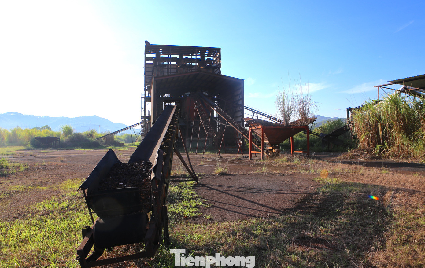 Ông Nguyễn Đăng Nhàn, Chủ tịch UBND xã Thọ Điền (huyện Vũ Quang) cho biết, kể từ khi nhà máy ngừng hoạt động, địa phương đã nhiều lần kiến nghị lên cấp trên về phương án xử lý. Gần 20ha đất nông nghiệp thu hồi để nhường cho dự án này, nhưng giờ hoạt động không hiệu quả, bỏ hoang gây lãng phí. Dân giờ muốn sử dụng làm nông nghiệp cũng khó.