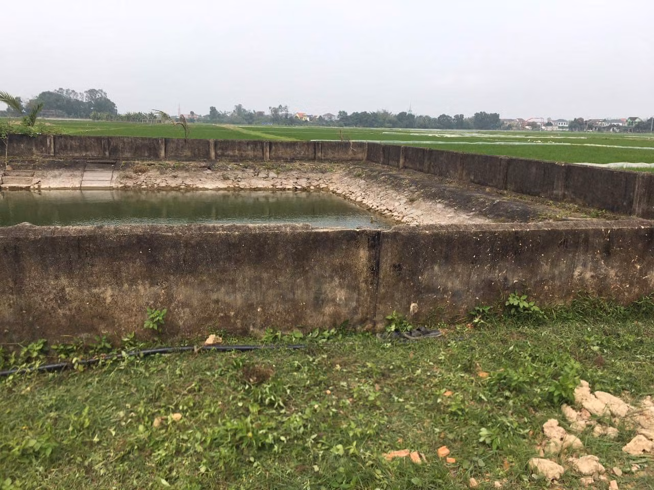 Khu vực giếng làng nơi xảy ra vụ đuối nước thương tâm.