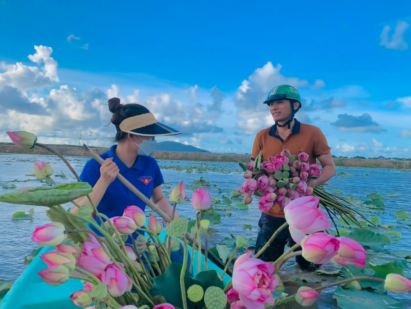 Vào mùa hoa sen nở, đoàn thanh niên phối hợp với Hội nông dân xã Thạch Hưng thu hoạch sen để tiêu thụ sản phẩm.