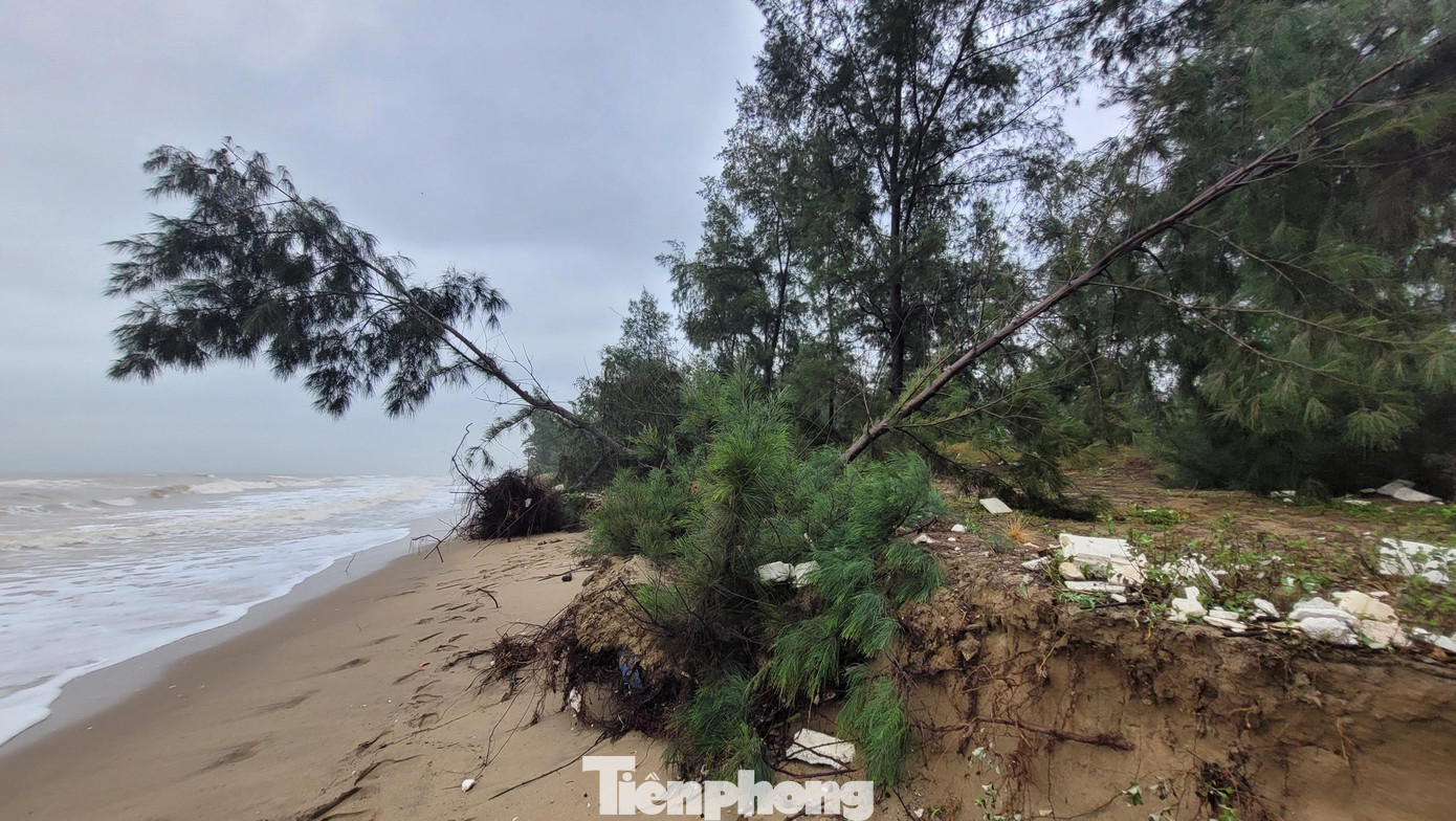 Còn đại diện Phòng Nông nghiệp và Phát triển nông thôn huyện Nghi Xuân cho hay huyện đã đề xuất UBND tỉnh Hà Tĩnh quan tâm, tạo điều kiện để đầu tư xây dựng đê giảm sóng tại bờ biển xã Xuân Hội.