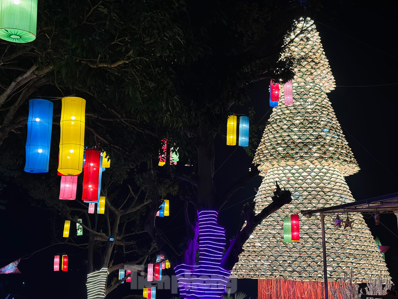 Mỗi tối, vào lúc 19h, cây thông được tạo dựng từ hơn 2.400 chiếc nón lá truyền thống Việt Nam bắt đầu lên đèn.