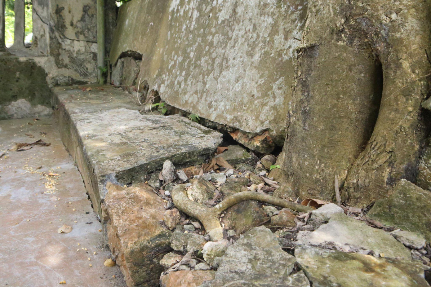 Những vết nứt chạy dọc bờ tường bao quanh khu vực đền.