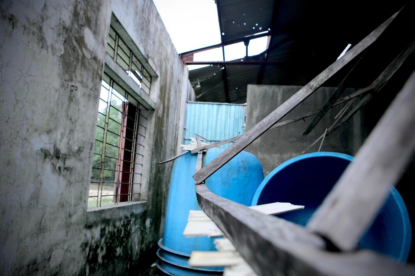 Trại ngừng chăn nuôi sản xuất, bỏ hoang từ năm 2015 đến nay. Bên trong trại, cây cối mọc um tùm, nhếch nhác.