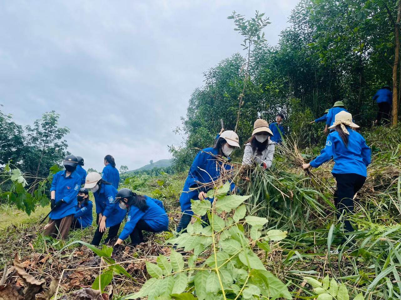 Tại huyện Thạch Hà, gần 20 đoàn viên thanh niên đã cùng ra quân hỗ trợ phát quang hành lang cây tại khu vực đất đồi của gia đình ông Dương Đình Cảnh (SN 1969, trú thôn Kim Sơn, xã Lưu Vĩnh Sơn) nằm trong vị trí giải phóng mặt bằng dự án.
