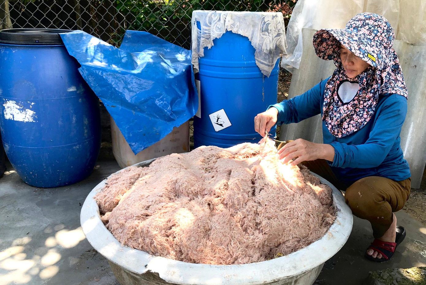 Ruốc đánh lên được cho vào khay để chuẩn bị mang đi chợ bán.