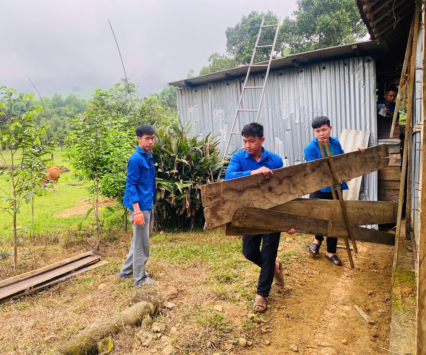 Hình ảnh màu áo xanh tình nguyện chung tay mang lại mái ấm cho những gia đình có hoàn cảnh khó khăn trên địa bàn đã để lại nhiều dấu ấn đẹp. Không chỉ góp sức trẻ xây dựng những ngôi nhà vững chãi mà còn xây dựng những mối quan hệ, sẻ chia và yêu thương.