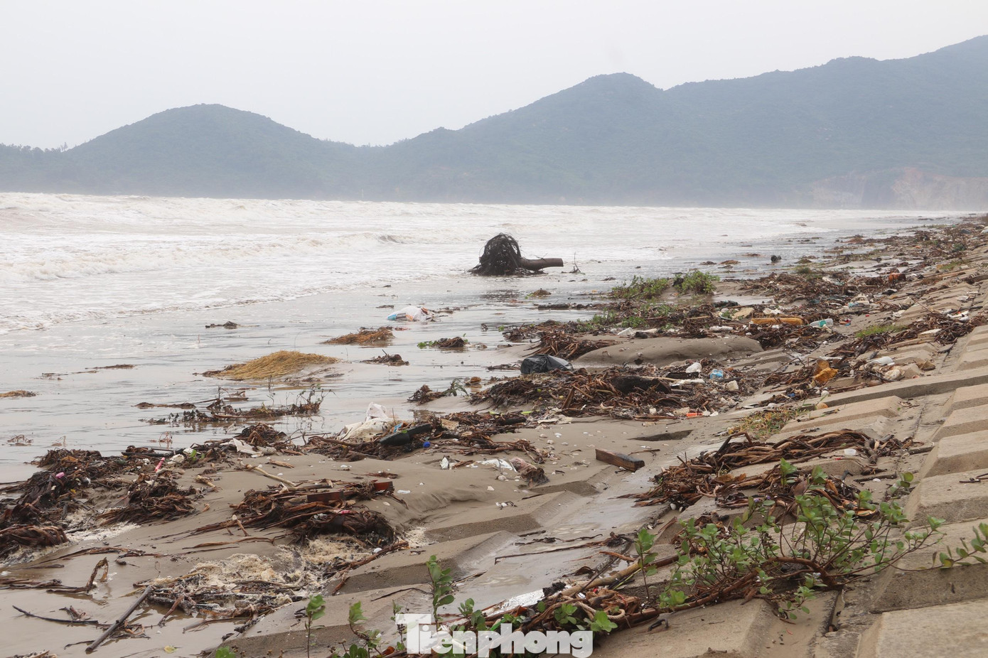 Đại diện UBND xã Thạch Kim (huyện Lộc Hà) cho biết, số lượng rác thải trôi dạt vào bờ biển nhiều sau những đợt mưa bão, sóng lớn. Khi thời tiết ổn định, địa phương mới huy động các lực lượng phối hợp cùng người dân ra thu dọn số rác thải này để đảm bảo môi trường.
