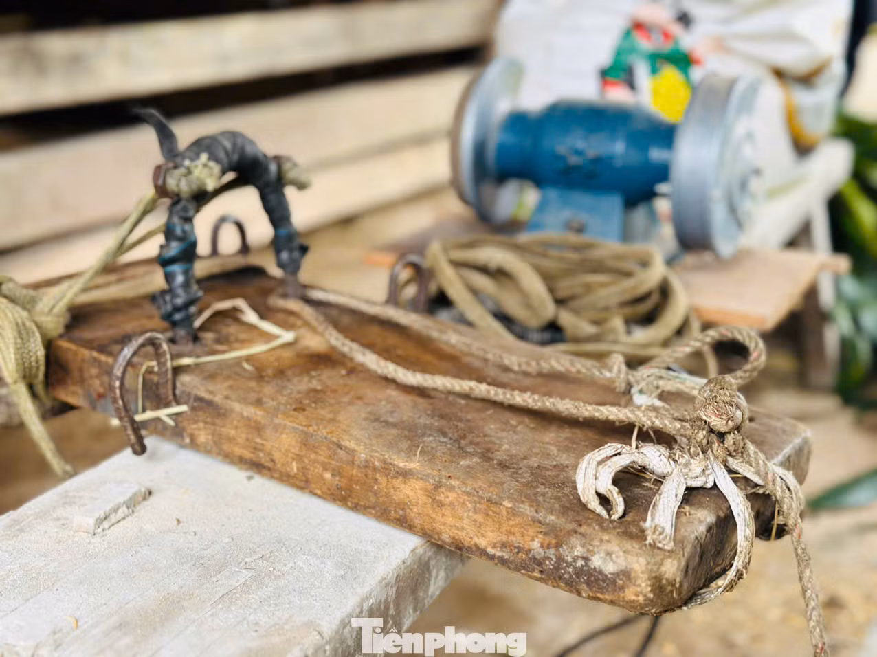 Theo anh Chương, dụng cụ cắt nhung rất đơn giản, chỉ có dây thừng, lưỡi cưa, một miếng ván có đóng vòng thép để giữ cho đầu hươu cố định trong quá trình cắt nhung và một cây sào nứa hoặc nhành cây để đưa dây, bẫy chân hươu. Theo anh Chương, dụng cụ cắt nhung rất đơn giản, chỉ có dây thừng, lưỡi cưa, một miếng ván có đóng vòng thép để giữ cho đầu hươu cố định trong quá trình cắt nhung và một cây sào nứa hoặc nhành cây để đưa dây, bẫy chân hươu.