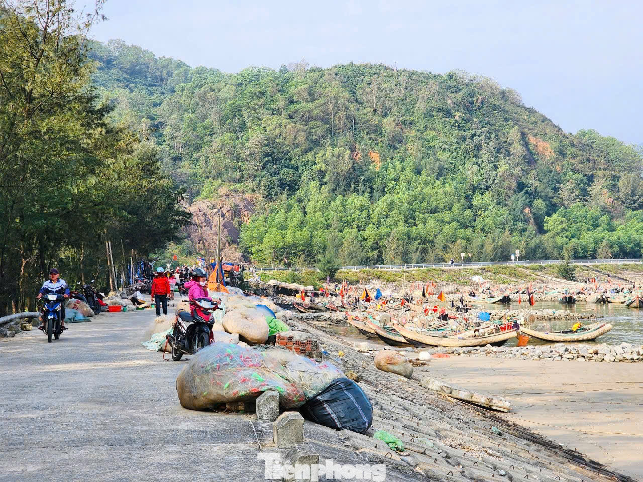 Ngư dân cho biết, những ngày đầu năm mới, thời tiết thuận lợi, nắng ấm nên đánh bắt được nhiều ghẹ tươi. Vì dịp Tết nên giá bán cao, người dân phấn khởi.