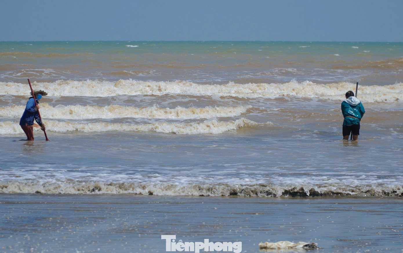 Người dân nơi đây gọi đây là nghề "đi giật lùi" vì tất cả mọi người từ kéo cá, cào ngao đều phải đi lùi về phía sau. Trong ảnh dụng cụ người dân dùng để đi bắt ngao là một chiếc cào tre dài chừng 1,5m có gắn một chiếc lưỡi sắt dài phía dưới.