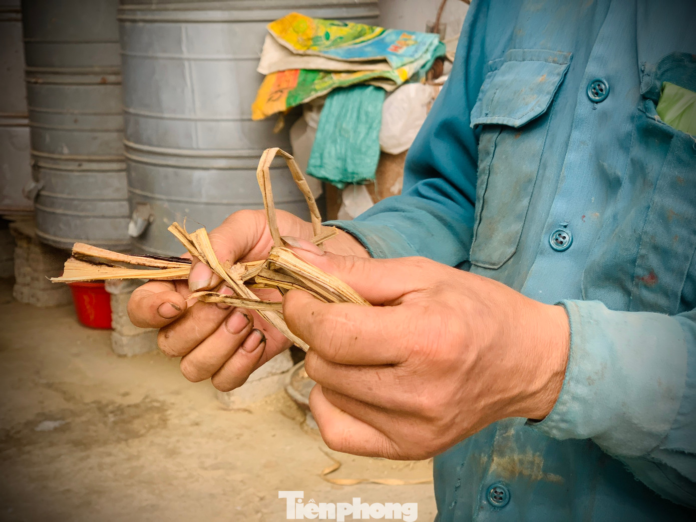 Họ chuẩn bị dây buộc được làm từ cây chuối khô và lá rừng làm nhuyễn để cầm máu tại nơi con hươu bị thương khi cắt lộc nhung xong.