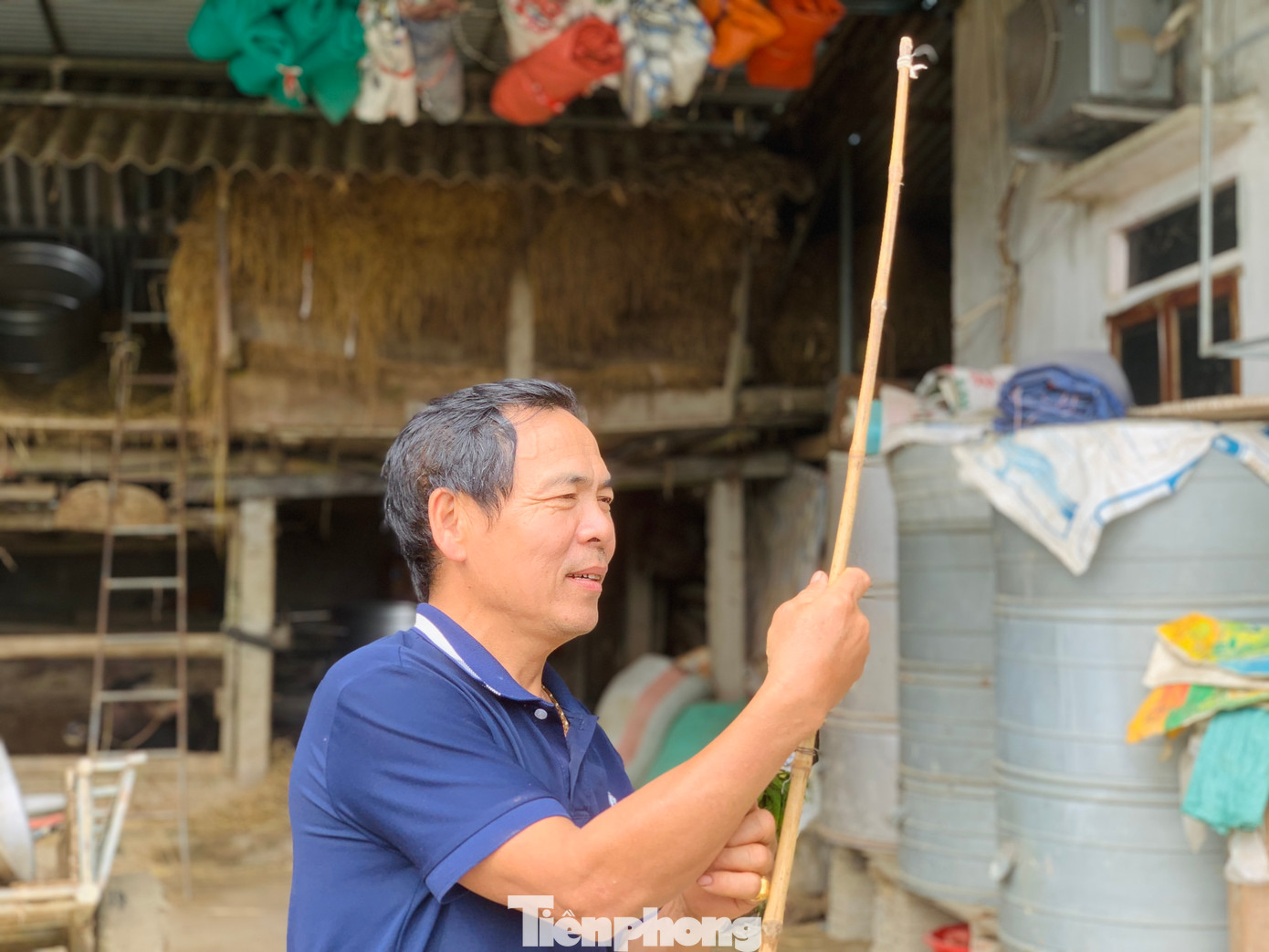 Sào bằng tre dài chừng 2,5m được người dân thiết kế cùng dây thừng để bẫy hươu. Khi con hươu sa vào bẫy, ngã xuống nền, họ sẽ trói chân, ghì chặt rồi dùng chiếc lưỡi cưa nhỏ, nhẹ nhàng cắt lần lượt cặp sừng mọc trên đầu.