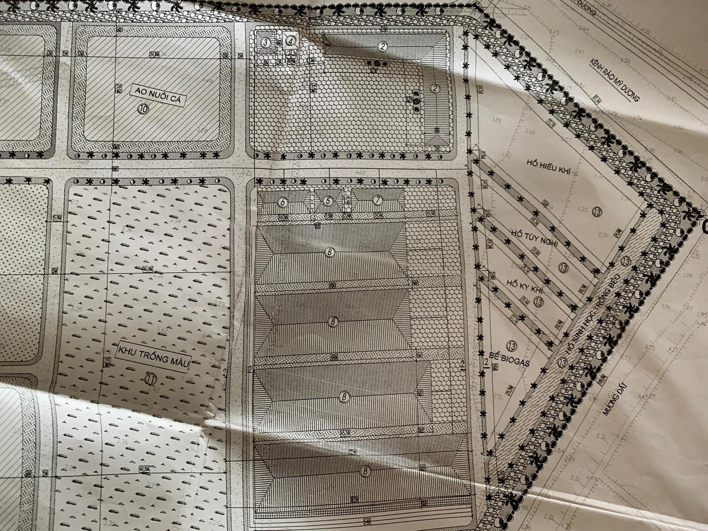 Hệ thống xử lý chất thải của trang trại ông Phạm Trần Sum còn thiếu hồ sinh học trồng bèo.