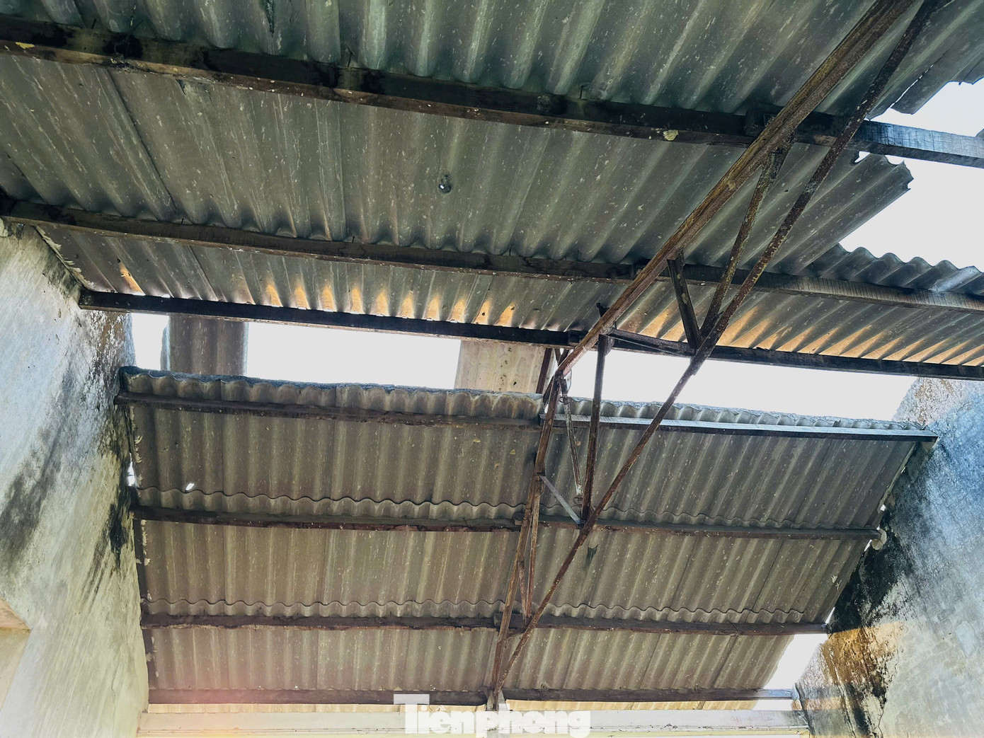 Lãnh đạo UBND xã Châu Bình, cho biết, dự án trạm truyền giống chăn nuôi được xây dựng tại địa phương, nhưng do cơ quan chức năng của huyện và tỉnh quản lý. Theo lãnh đạo xã, dự án được xây dựng trên diện tích 1ha, mục tiêu phát triển nguồn heo giống để cung cấp cho thị trường trong và ngoài địa bàn huyện Hương Sơn. Từ năm 2014, dự án dừng hoạt động do kém hiệu quả, bỏ hoang đến nay đã hơn 10 năm. Địa phương cũng đã có đề xuất để có phương án tránh để lãng phí quỹ đất.