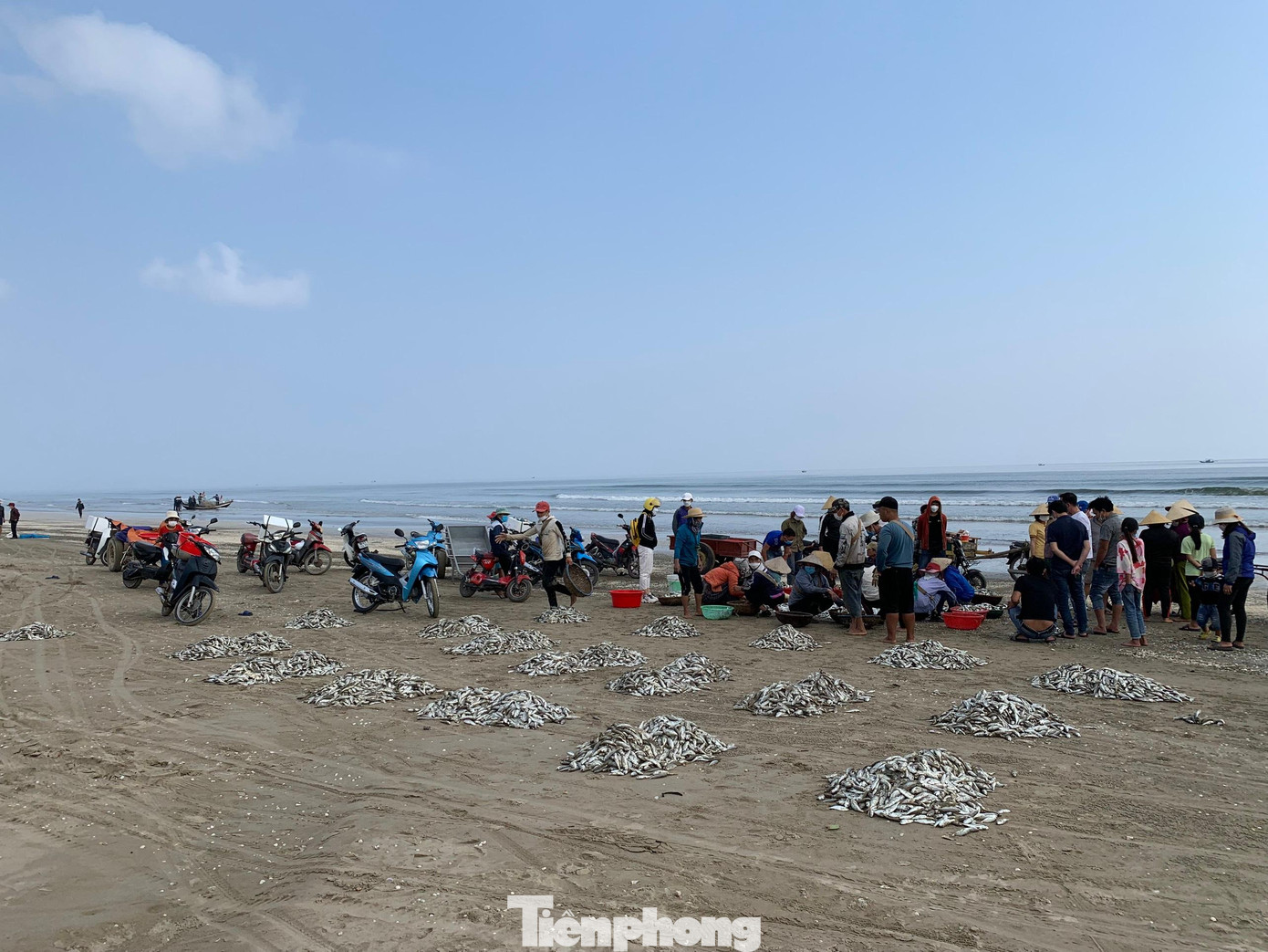 Dọc bờ biển xã Thịnh Lộc dài khoảng hai km, hàng chục ngư dân, chủ yếu là các thành viên trong một gia đình, kéo thuyền và chở lưới ra biển để bắt cá. Ngư dân cho hay, từ Tết đến nay, hôm nào trời nắng đẹp, ít gió, cá xuất hiện nhiều.