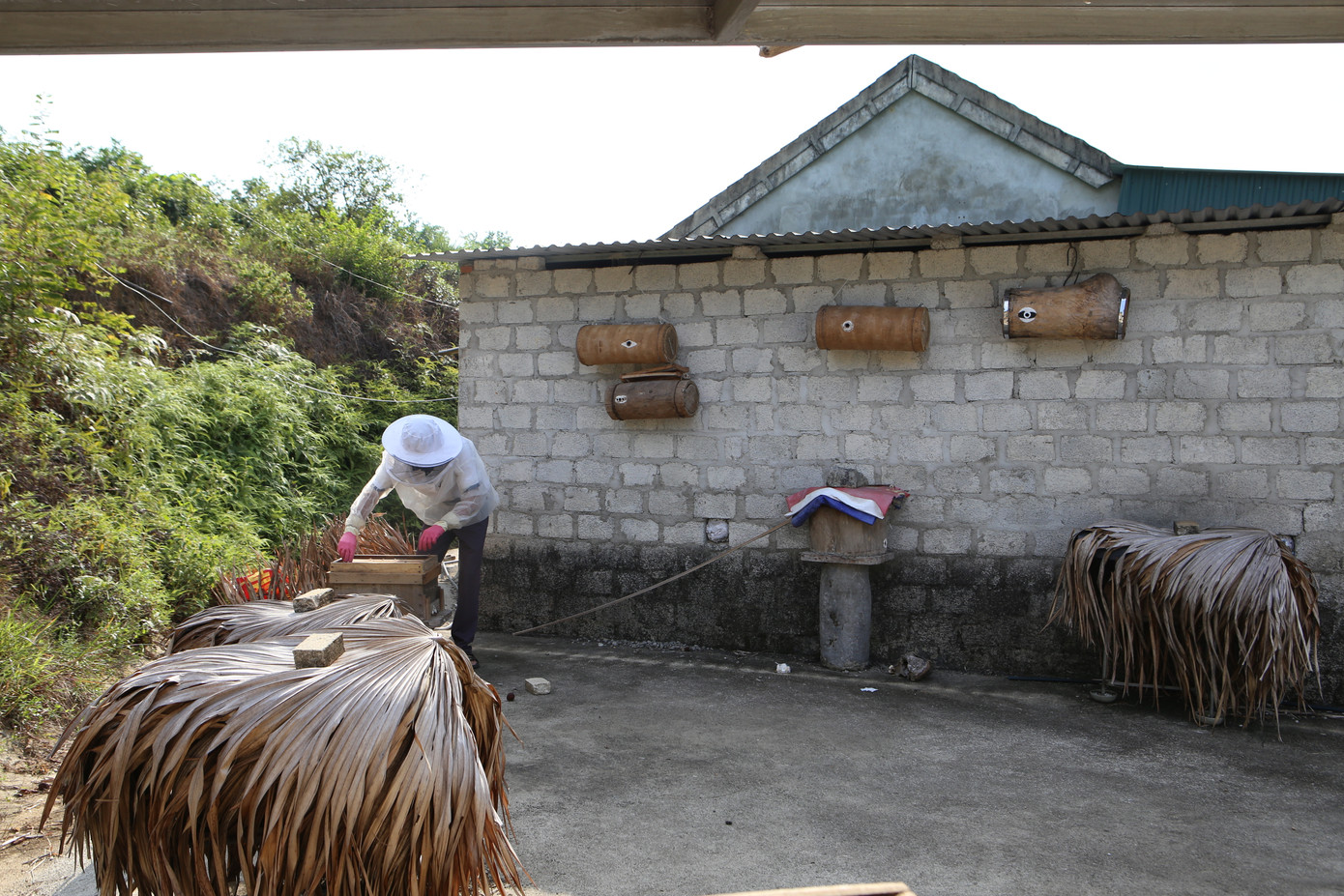 Tận dụng vườn đồi, người dân nuôi ong ngay cạnh nhà kiếm thêm thu nhập.