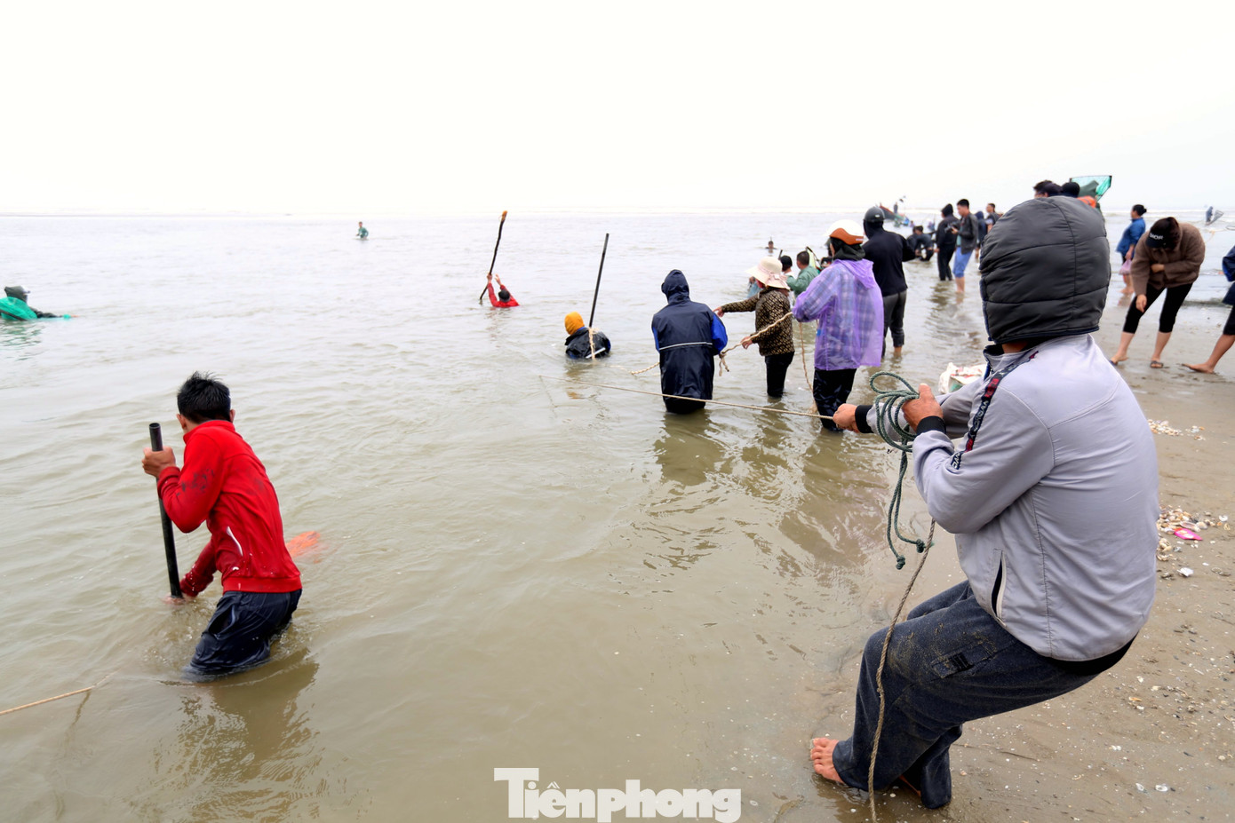 Sóng biển rất lớn, thời tiết nhiệt độ từ 17-21 độ C nên việc săn bắt sò lông cũng gặp không ít khó khăn.