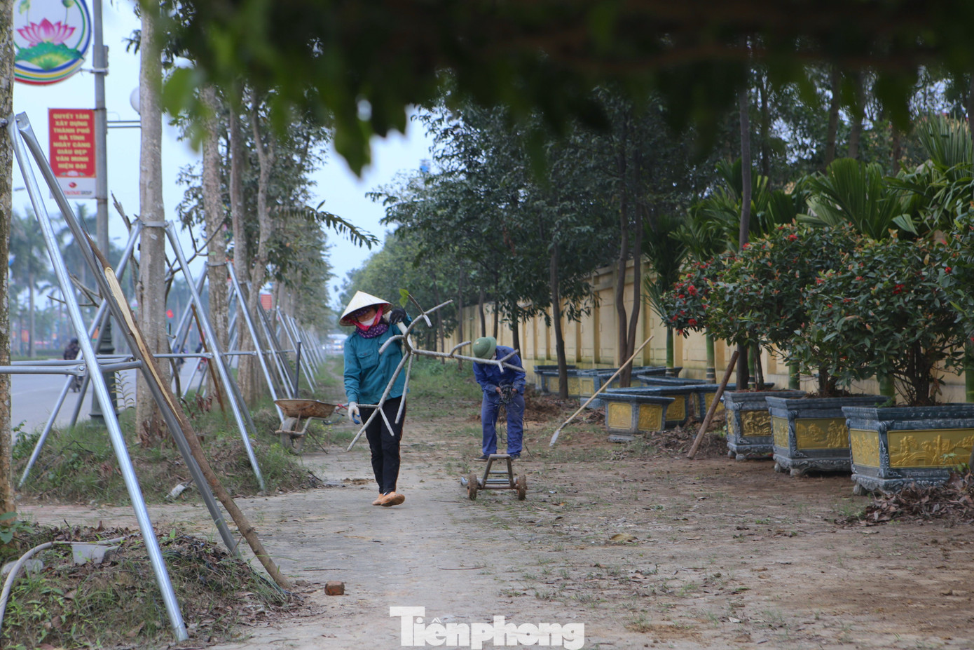 Ngoài những công việc nặng như vận chuyển chậu cây cảnh, họ còn được thuê trồng hoa, dọn dẹp vỉa hè để trưng bày hàng Tết.