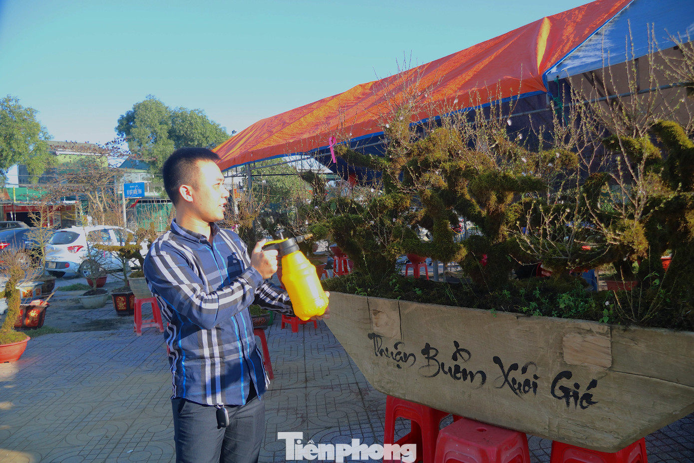 Theo anh Việt, việc trồng nhất chi mai trên thuyền gỗ tượng trưng cho thuận buồm xuôi gió, may mắn cả năm. Riêng 3 gốc chi mai mỗi gốc có tuổi đời trên 20 năm.