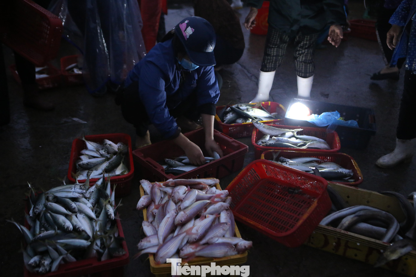 Từ 4h sáng, cảng Cửa Sót tấp nập, người dân cùng thương lái khắp nơi đã đến để đón những đoàn thuyền đầy ắp cá tôm trở về sau chuyến ra khơi.