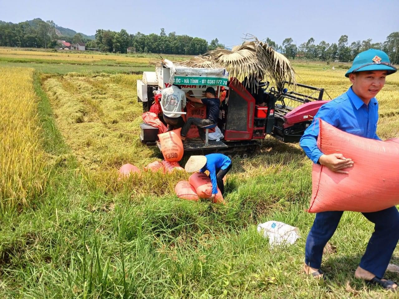 Với tinh thần xung kích, trách nhiệm, gương mẫu, dù thời tiết nắng nóng nhưng các bạn đoàn viên thanh niên vẫn tích cực tham gia.