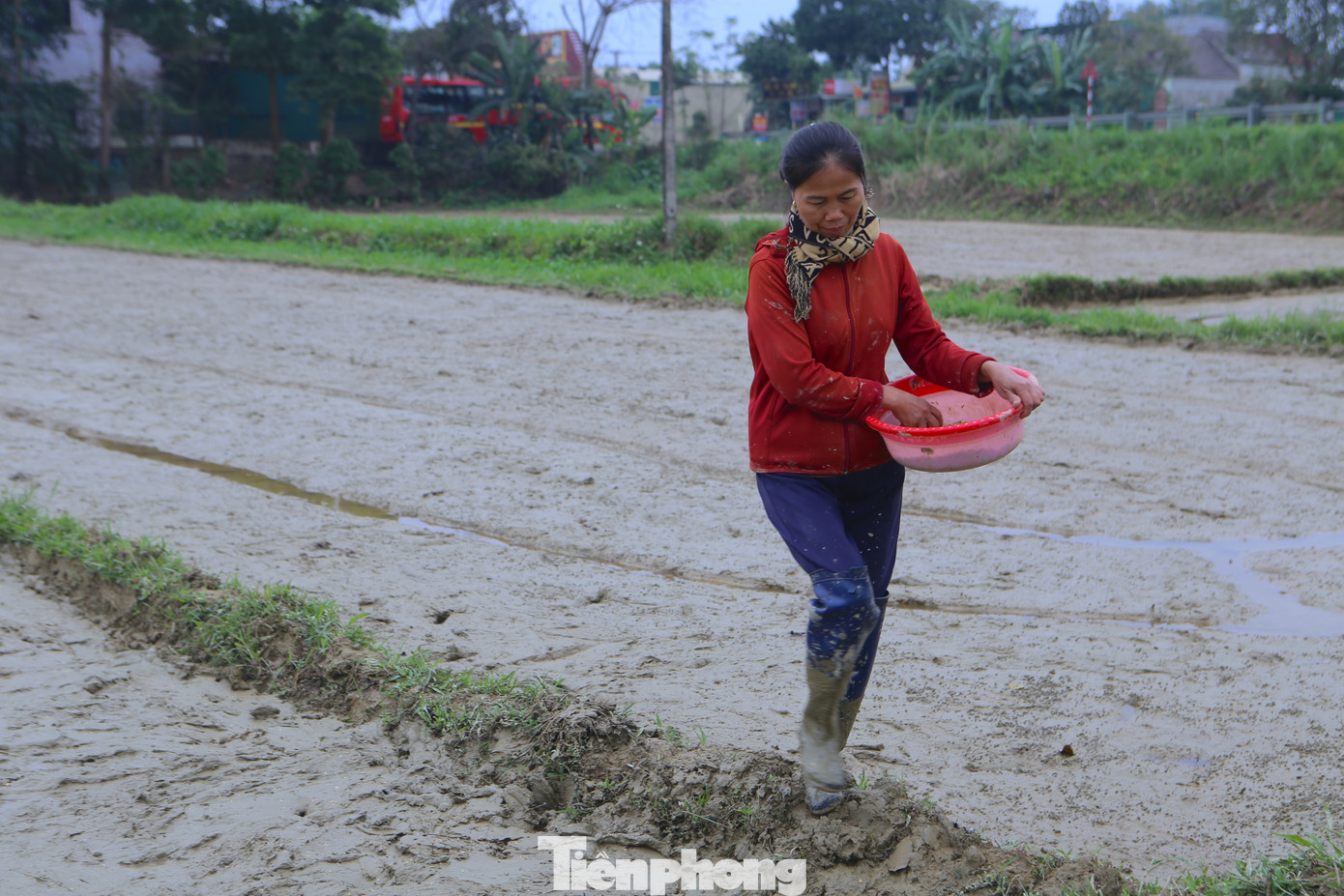 Từ sáng sớm, trên những cánh đồng ở huyện Hương Sơn, người dân dậy từ sớm để làm việc. Ghi nhận tại cánh đồng thôn Hồ Sơn, xã Sơn Trung (huyện Hương Sơn). Từ sáng sớm, trên những cánh đồng ở huyện Hương Sơn, người dân dậy từ sớm để làm việc. Ghi nhận tại cánh đồng thôn Hồ Sơn, xã Sơn Trung (huyện Hương Sơn).