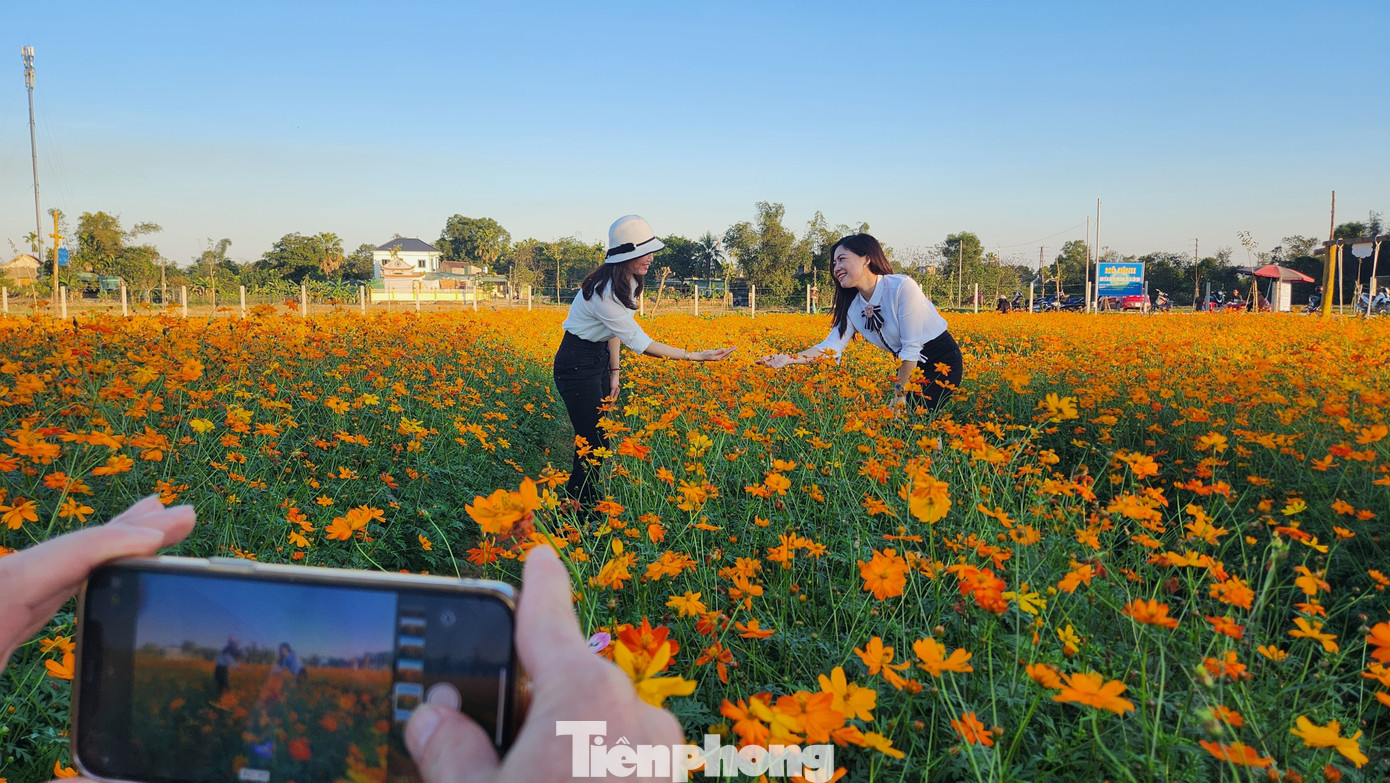 Sau khi hoa sao nhái bắt đầu nở rộ, có rất đông bạn trẻ kéo nhau về đây check in chụp ảnh.