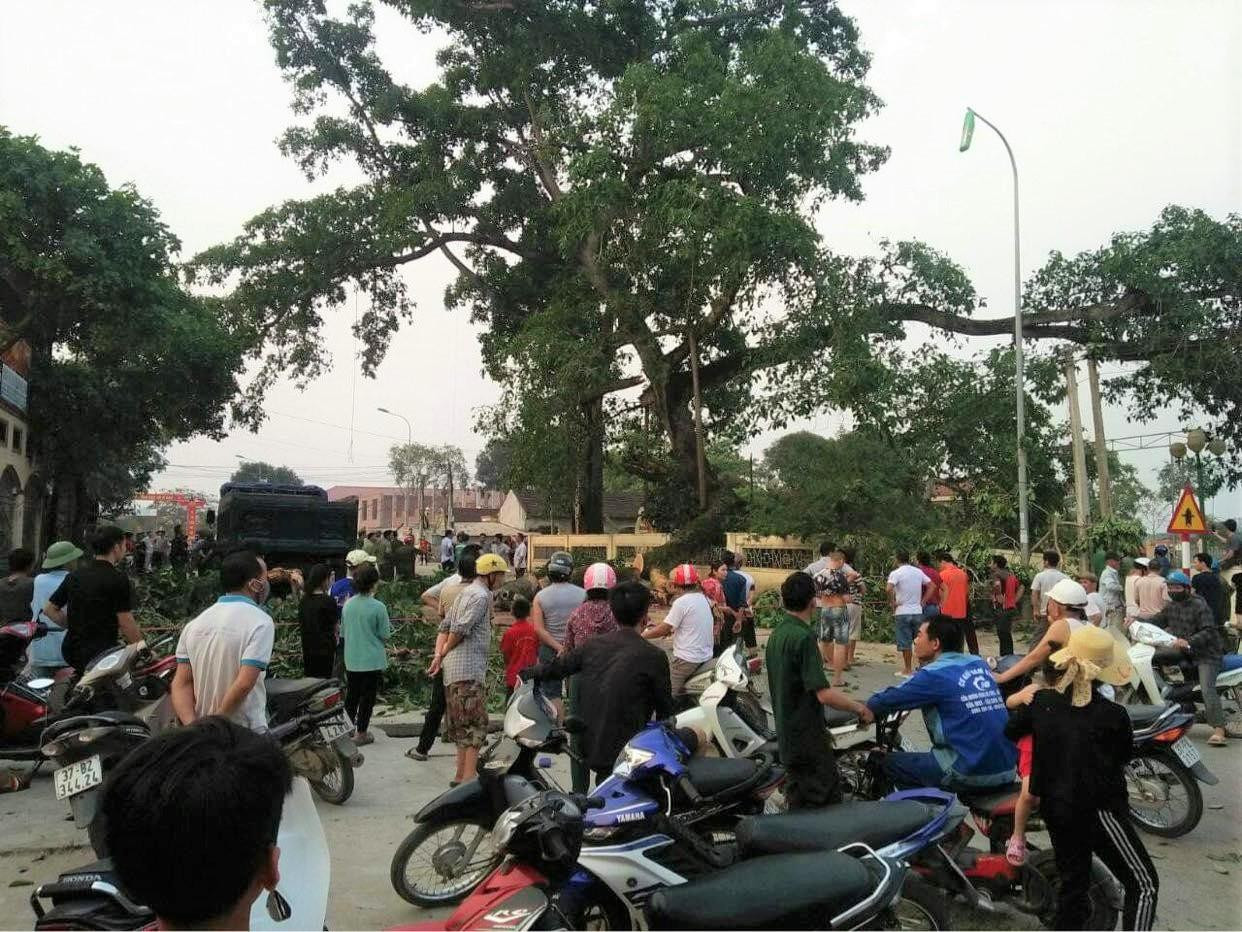 Cây đa gãy nhánh làm 4 học sinh tiểu học bị thương