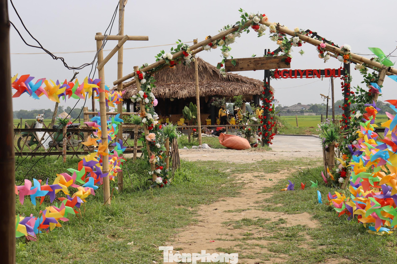 Hằng xây dựng trang trại “Nàng thơ của đất” rộng 2ha tại thôn Liên Hương, xã Thạch Đài, huyện Thạch Hà, tỉnh Hà Tĩnh. Vùng này trước đây vốn là mảnh đất bỏ hoang, quanh năm ngập úng nhưng qua bàn tay, sự chăm chỉ của cô nàng kỹ sư đã được phủ màu xanh của rau củ, ngập tràn bởi những sắc hoa và trở thành điểm du lịch yêu thích của người dân Hà Tĩnh.