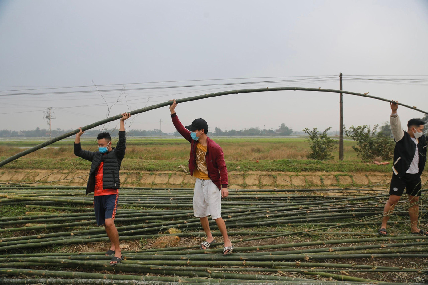 Bắt nhịp với nhu cầu tiêu dùng của người dân trong dịp Tết, nhiều người dân đã thu mua cây tre về để bán.