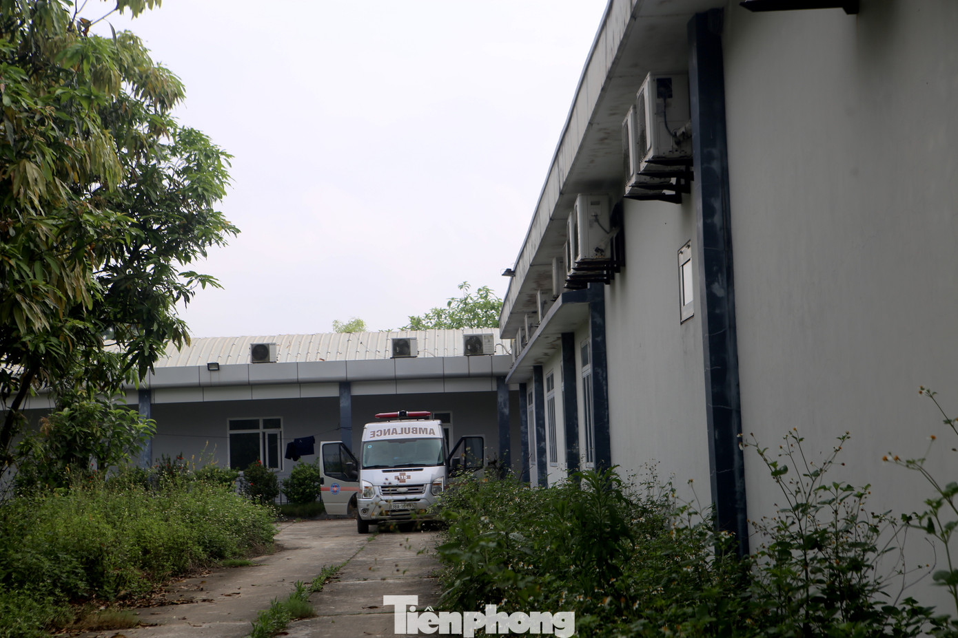 Bên trong dãy nhà bỏ hoang nhiều năm qua gây lãng phí.