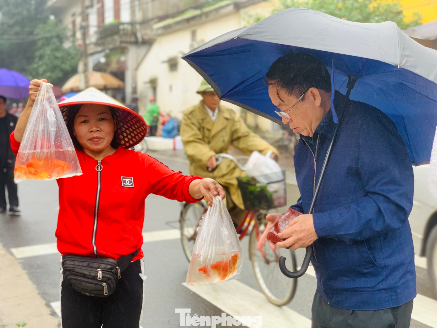 Theo nhiều người bán cá, năm nay lượng người mua ít, dù hạ giá nhưng vẫn khó bán...