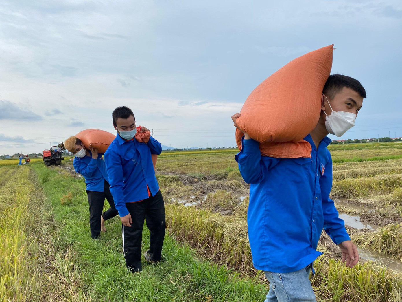 Đoàn viên Thành đoàn TP Hà Tĩnh ra đồng giúp đỡ người dân đưa lúa lên bờ sau khi gặt xong.