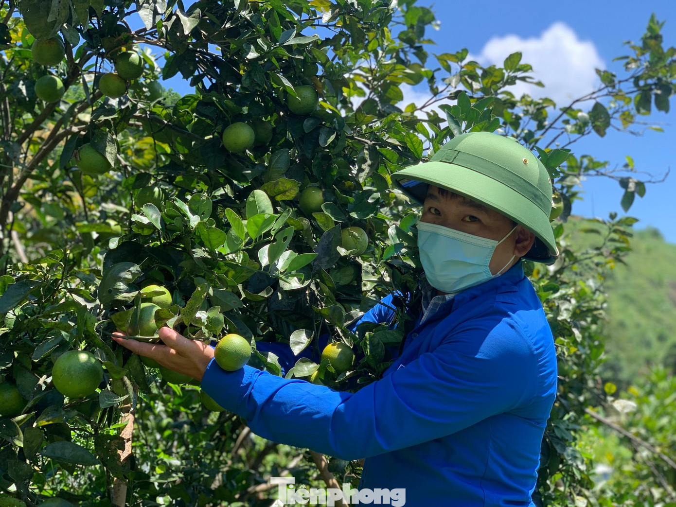 Anh Tuân phát triển mô hình kinh tế vườn đồi cho thu nhập hàng trăm triệu đồng mỗi năm.