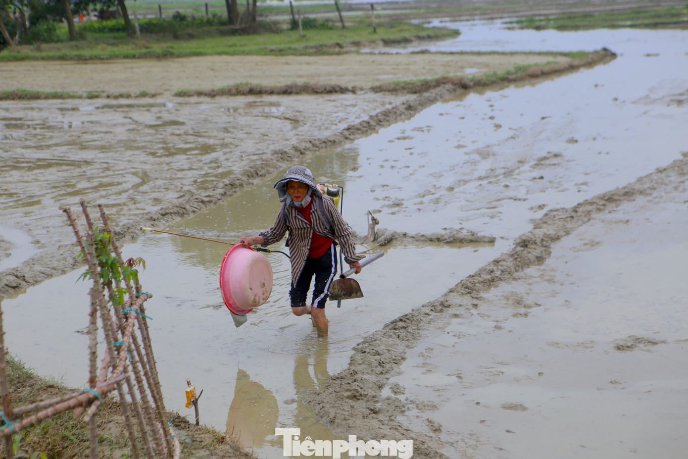 Bà Nguyễn Thị Lan (69 tuổi, trú xã Sơn Trung) mang bình phun thuốc trừ sâu để phun trên cánh đồng sau khi gieo mạ xong. Bà Nguyễn Thị Lan (69 tuổi, trú xã Sơn Trung) mang bình phun thuốc trừ sâu để phun trên cánh đồng sau khi gieo mạ xong.