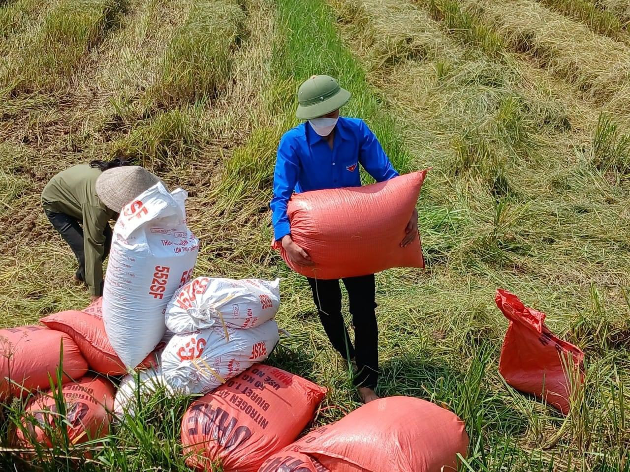 Lực lượng thanh niên tình nguyện tạo nên hình ảnh đẹp trong cộng đồng về một thế hệ thanh niên sống trách nhiệm, biết chia sẻ, yêu thương.