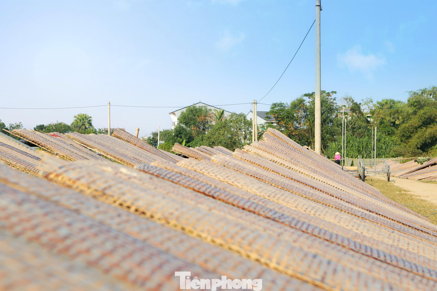 Hiện tại mỗi tệp 100 cái có giá bán 17.000 đồng, vào dịp Tết giá tăng từ 20.000-25.000 đồng.