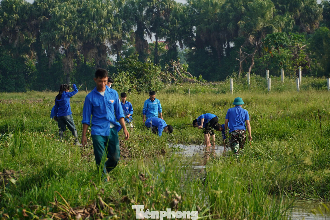 “Hoạt động trồng cây xanh là nhiệm vụ được Thành Đoàn Hà Tĩnh đưa vào kế hoạch hàng năm. Trước đây, đoàn thanh niên cũng đã triển khai nhiều hoạt động trồng cây khu vực đô thị và những vị trí như bờ, kè sông nhằm tránh ảnh hưởng của biến đổi khí hậu, tạo môi trường xanh, sạch đẹp cho thành phố”, Bí thư Thành Đoàn Hà Tĩnh cho biết.